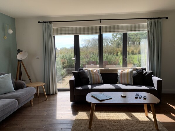 TV connectée, cheminée