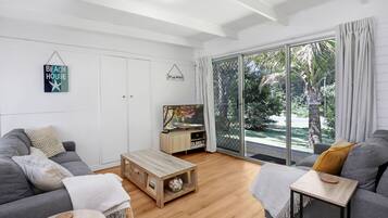 Smart TV, DVD player
