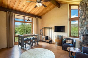 Smart TV, fireplace, books