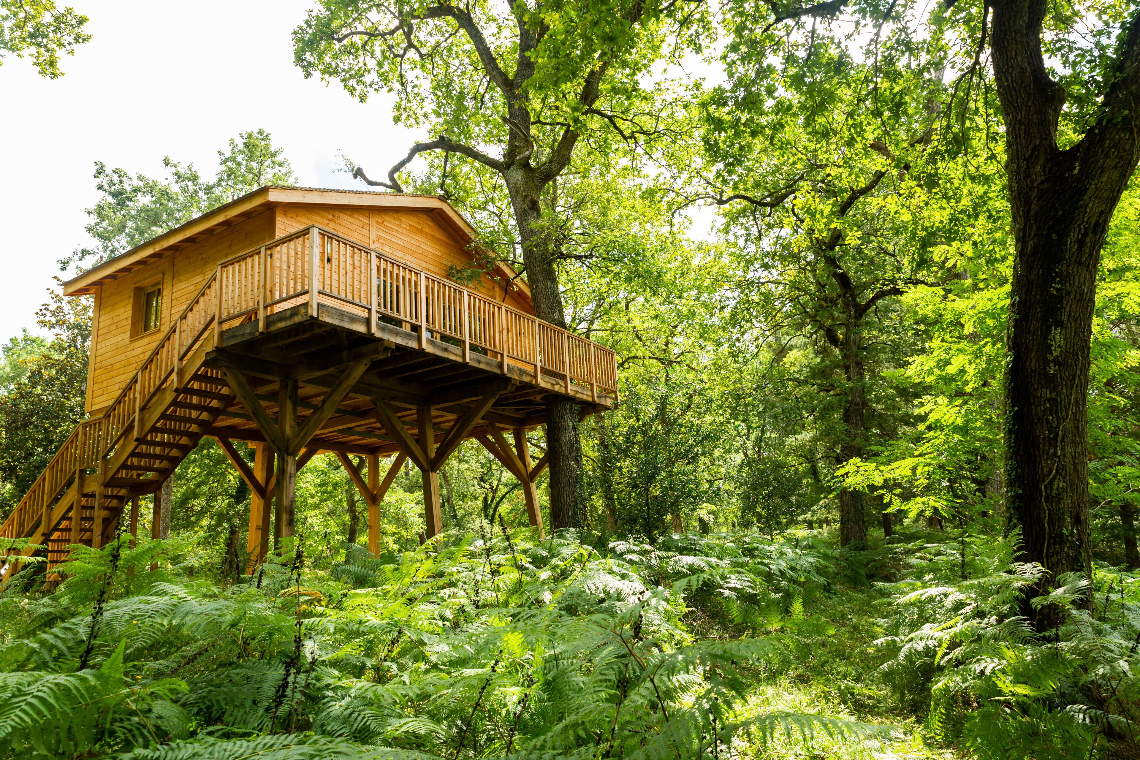 A wooden treehouse with a wooden deck and stairs, surrounded by dense green foliage.