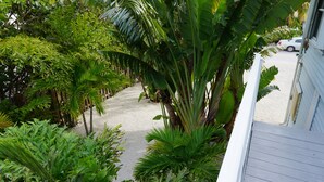 A pathway lined with various tropical plants and a white car parked on the street. - SOUTHERN SUNSET - As seen on House Hunters-S228 E6 - Family Time in the FL Keys (Cudjoe Key)