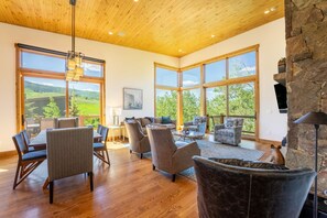 Smart TV, fireplace, books