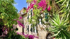 Een gebouw van steen met groene luiken, omgeven door weelderige begroeiing en felroze bougainvillea bloemen.