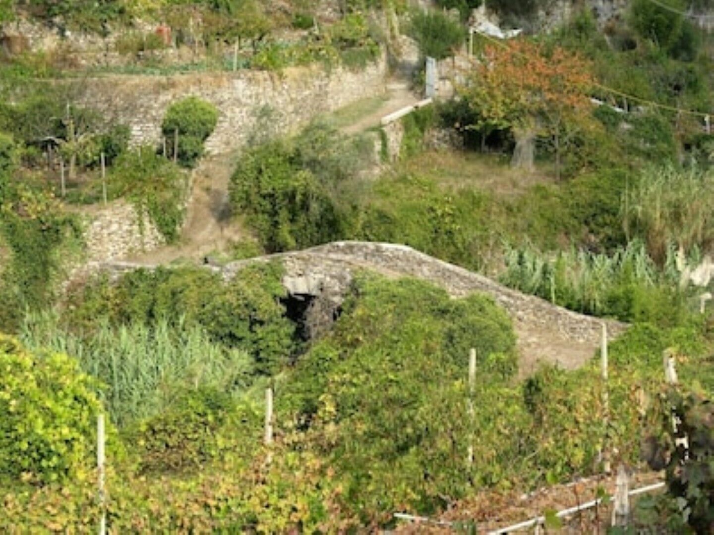 Eine Steinbrücke über einem Tal mit terrassierten Feldern und dichter Vegetation.