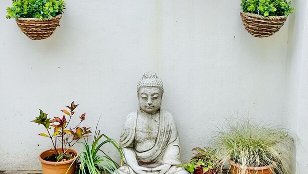 Buddha-patsas, joka on esitetty meditoivassa asennossa, ja sen ympärillä on erilaisia ruukkukasveja.