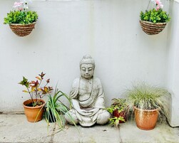 Una estatua de Buda en posición meditativa, rodeada de diversas plantas en macetas.