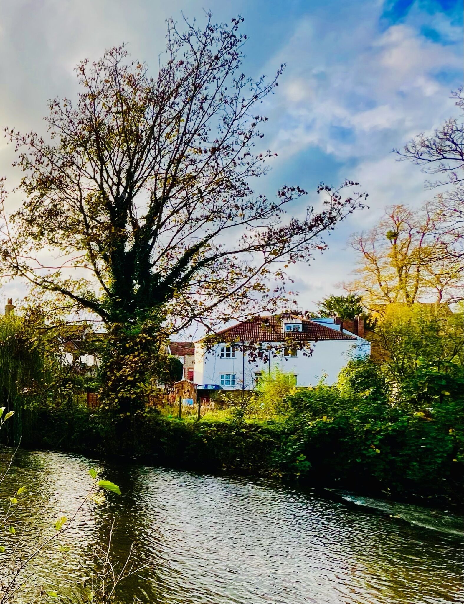 المنشأة من ال خارج