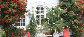 Fantastic vacation right on the Baltic Sea coast of Southern Jutland, Broagerland
