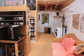 TV, DVD player, books, music library