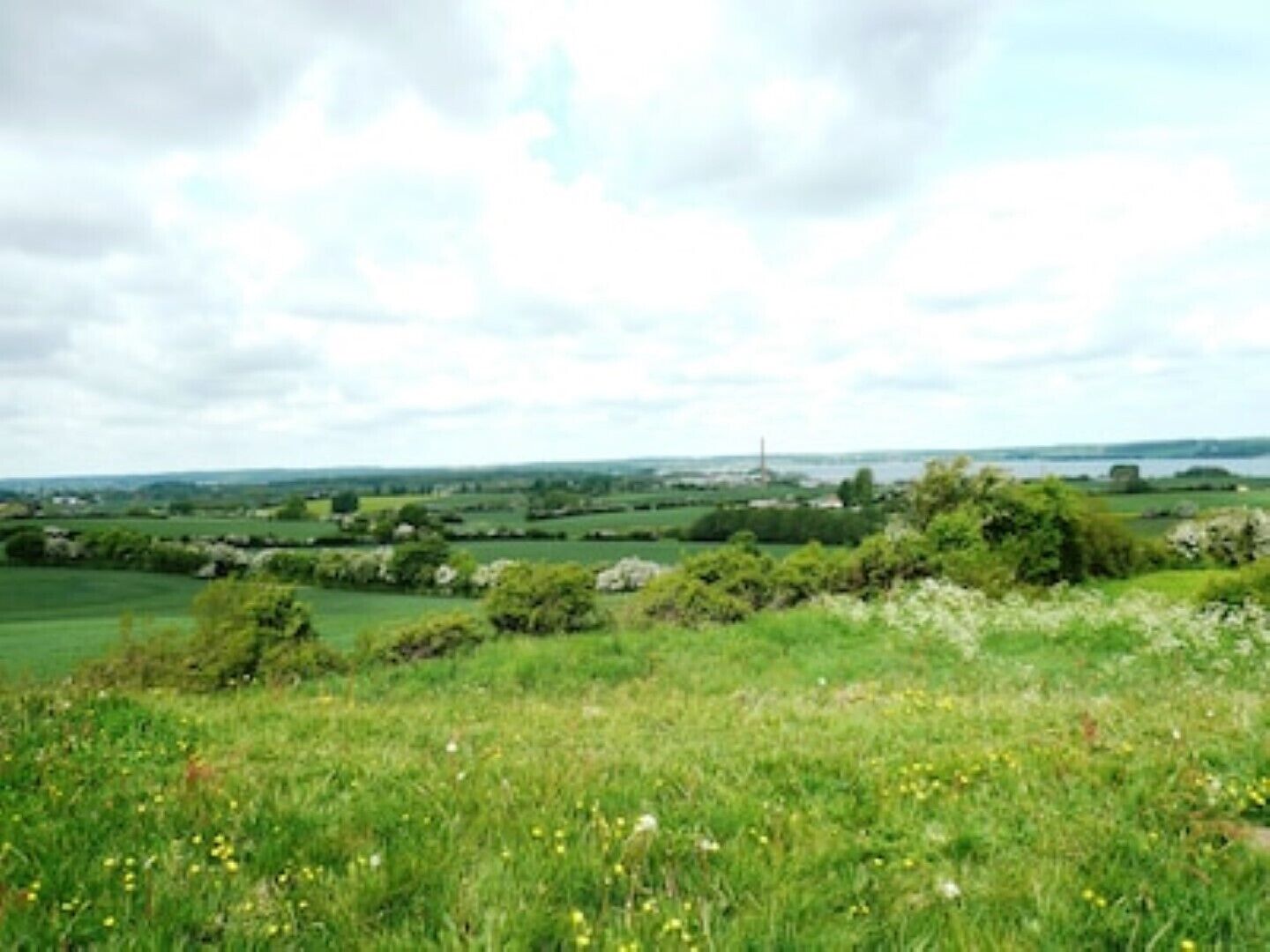Un paysage rural avec des champs, des arbres et une tour qui se dresse au loin.