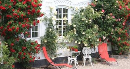 Fantastic vacation right on the Baltic Sea coast of Southern Jutland, Broagerland
