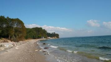 Plage à proximité, chaises longues