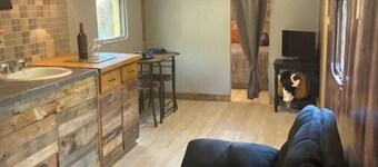 Cabin 1 Cozy cabin close to Sam Houston Park