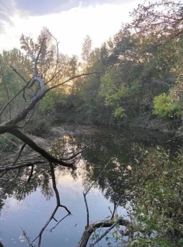 A calm river with reflections of trees and a clear sky.