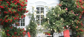 Fantastic vacation right on the Baltic Sea coast of Southern Jutland, Broagerland