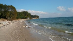 A beach with a sandy shore, calm sea, and trees in the background.