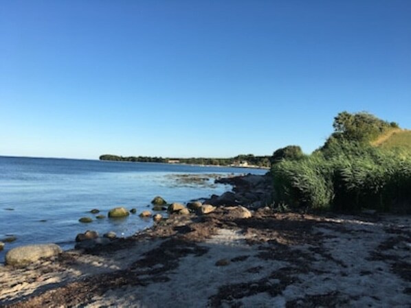 Playa en los alrededores y camastros 