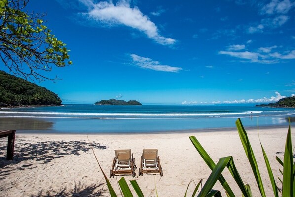 Smart TV de 43 pulgadas con canales digitales y televisión 