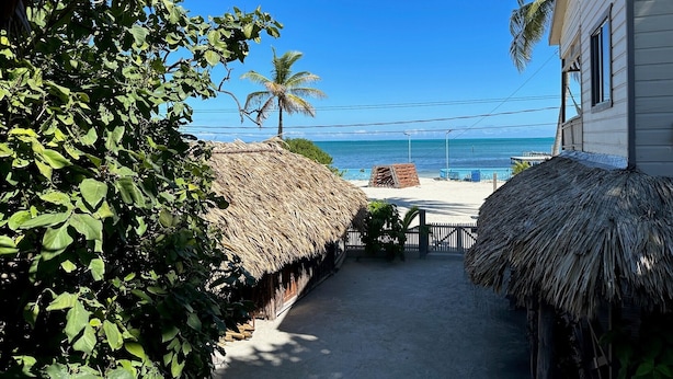 Un sendero estrecho que lleva a una playa con construcciones de techo de paja y una palmera.