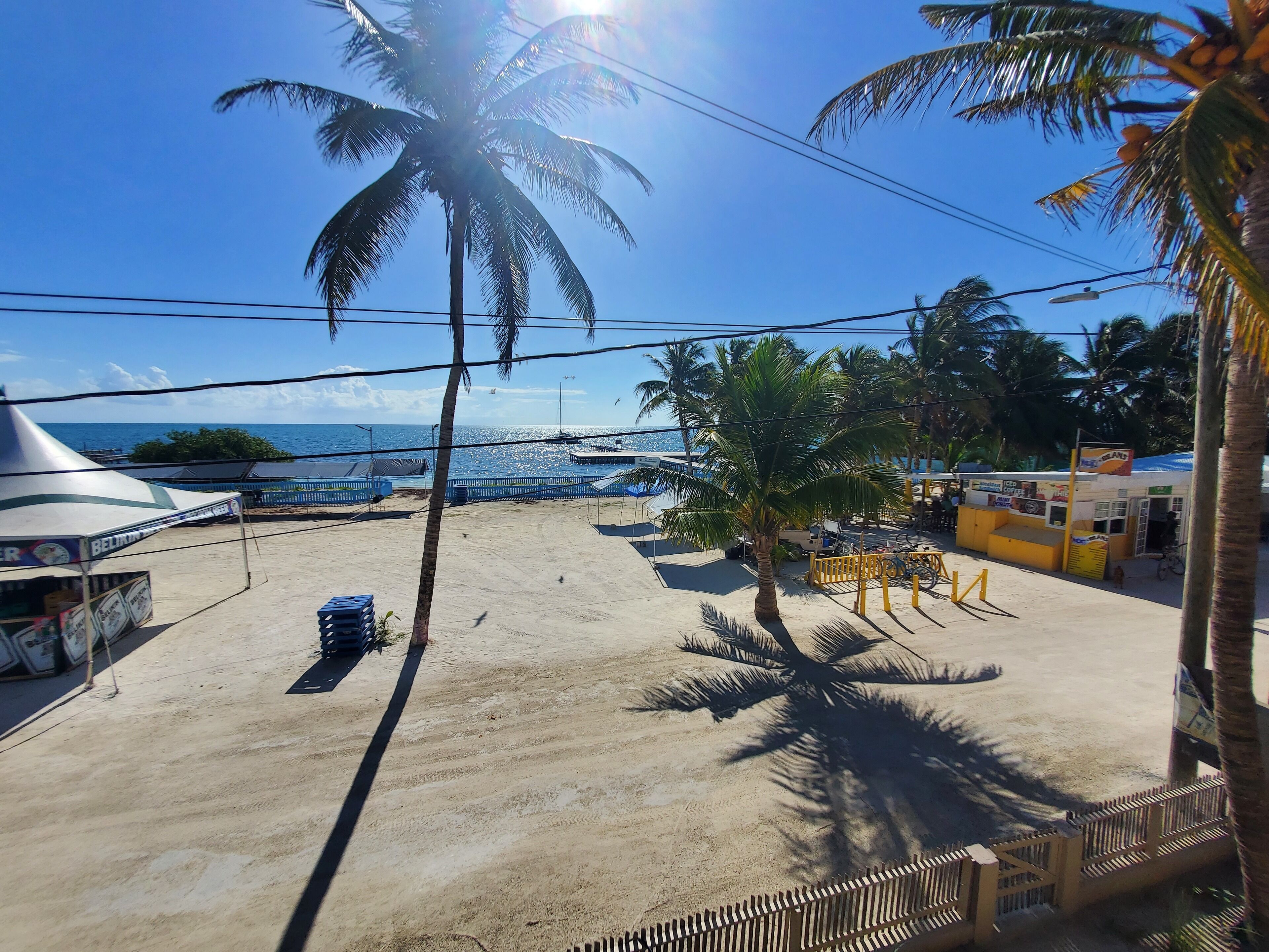 A beachside area with a sandy ground, palm trees, and a clear view of the sea.