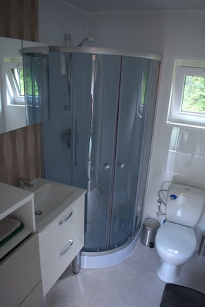 Shower, hair dryer, towels, soap