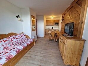 Fernseher