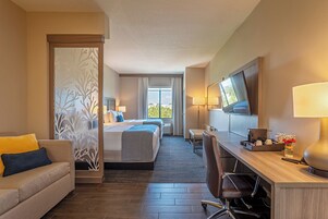 Hypo-allergenic bedding, minibar, in-room safe, desk