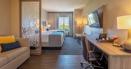 Pestana Orlando Suites - Lake Buena Vista