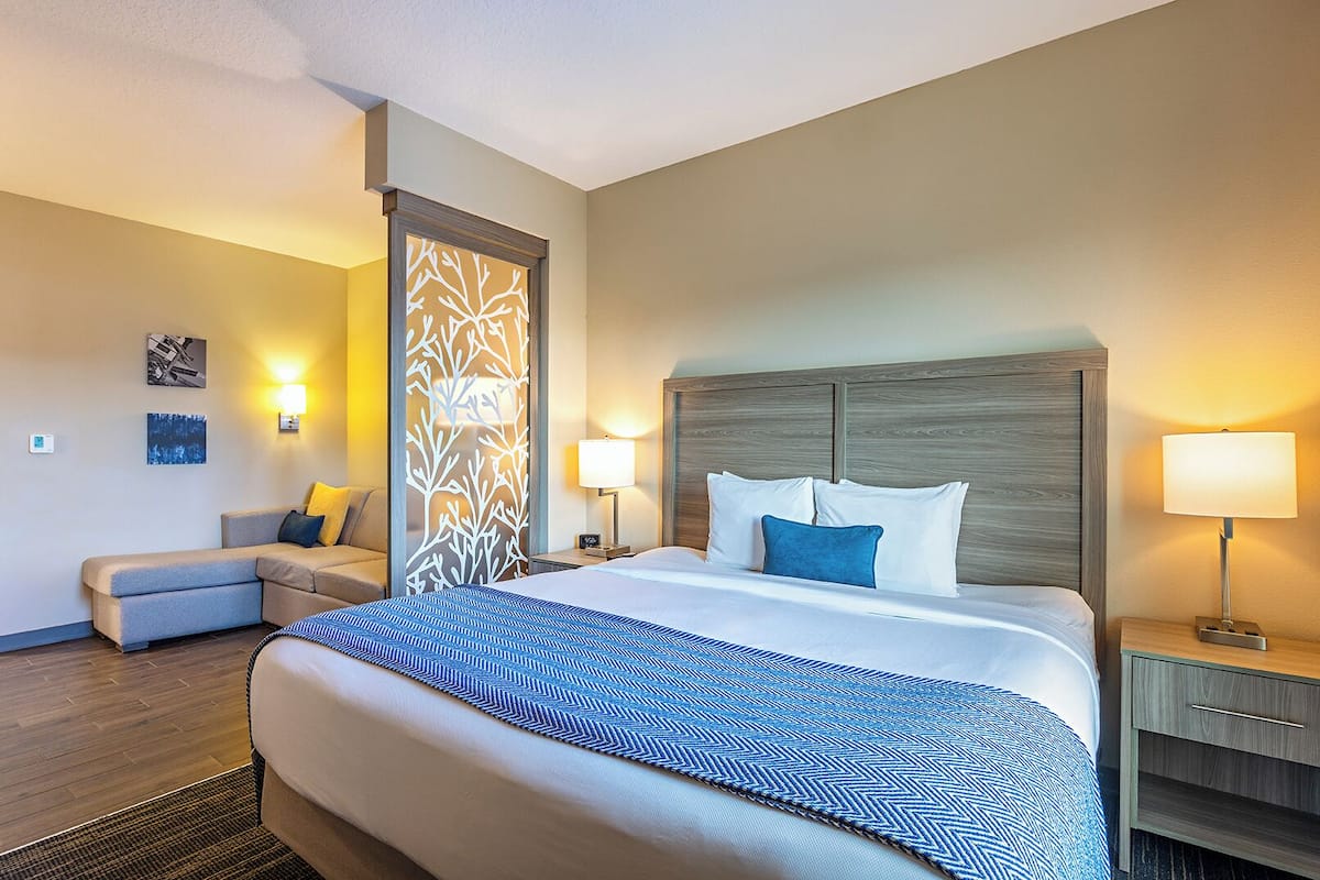 Hypo-allergenic bedding, minibar, in-room safe, desk