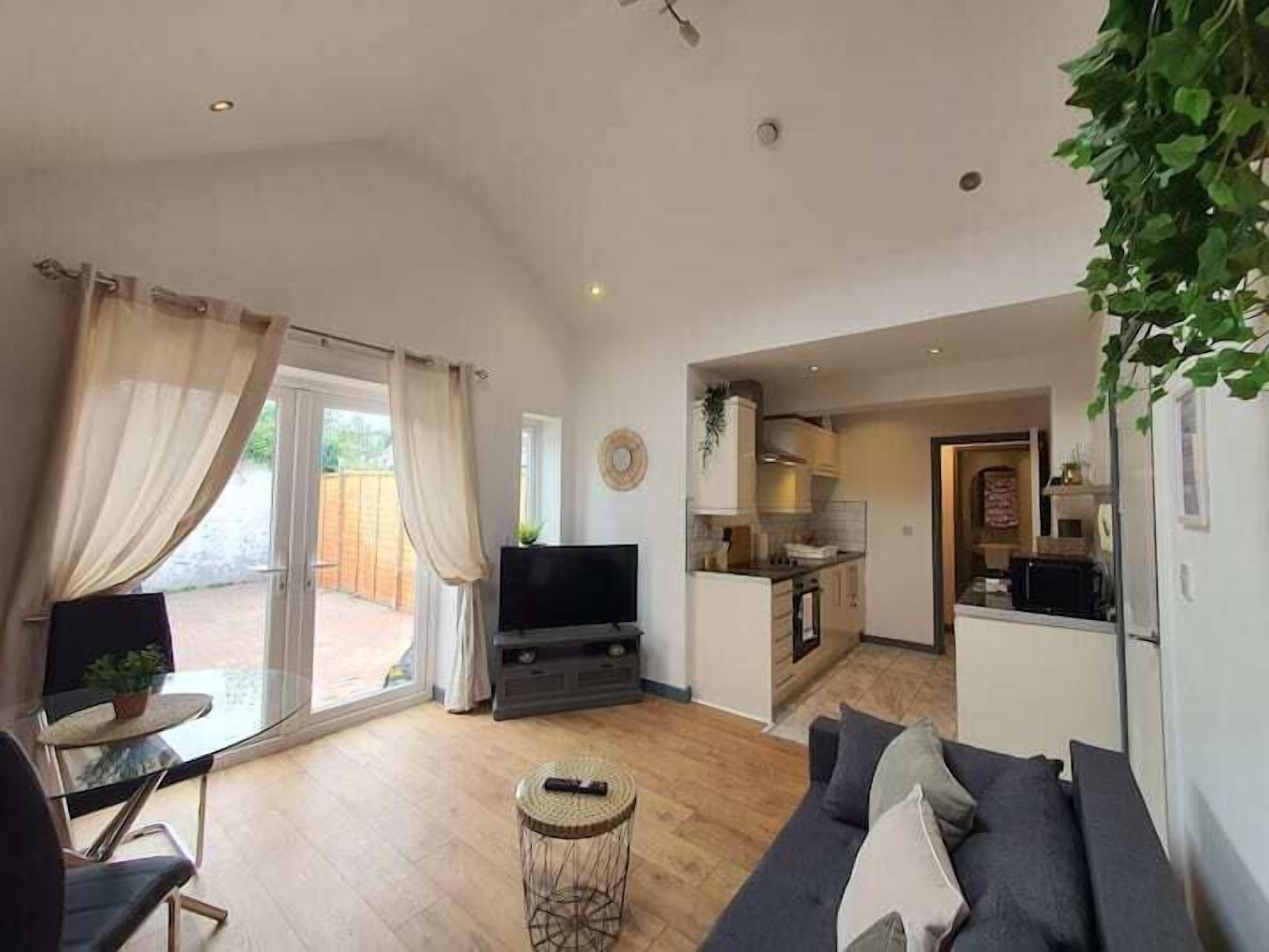 TV