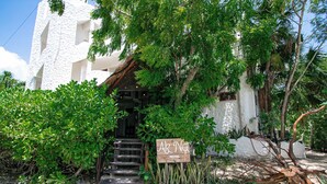 A hotel entrance with a wooden staircase leading up to a door, surrounded by lush greenery and a white building facade. - Hotel Ak'Na Holbox (Isla Holbox)