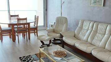 Televisio, DVD-soitin, kirjoja, musiikkikirjasto