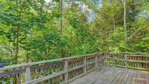 A wooden deck surrounded by dense green foliage.