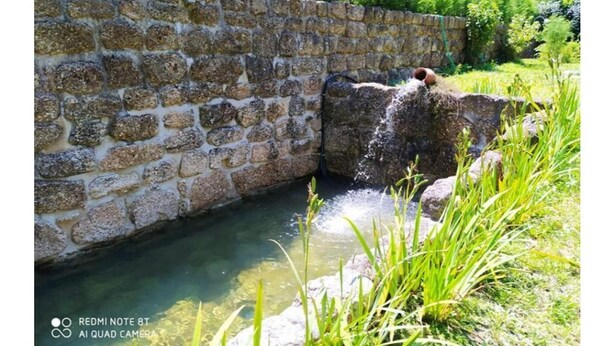 Un muro de piedra con una pequeña fuente de agua y vegetación.