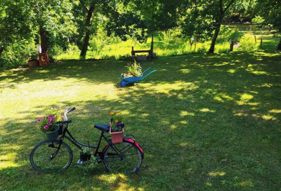 Pyörä, jossa on kori ja satulalaukku, on pysäköity ruohikkoiselle alueelle.