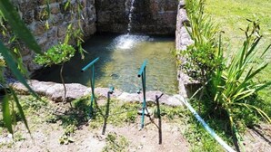 Un pequeño estanque de piedra con cascada, rodeado de follaje y césped.