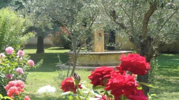 A garden with red flowers and trees. - Appartement de caractère dans un mas provençal (Jonquières)
