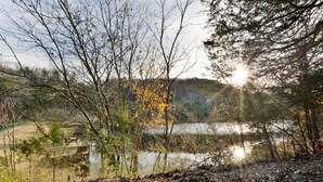 Eine natürliche Landschaft mit einem Gewässer, Bäumen und einem felsigen Vordergrund.