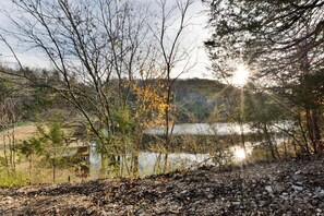 Property grounds - Trails End Cabin- 10 min- Silver Dollar City; 15 min- Branson; NEW Tiled Showers (Branson West)