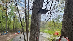 Una terraza de madera con una manguera roja enrollada en el suelo, rodeada de árboles y un parque infantil al fondo.