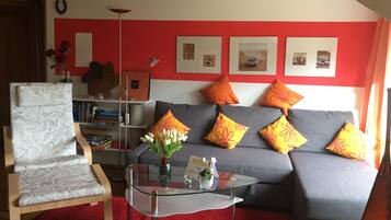 Fernseher, Kamin, DVD-Player, Bücher