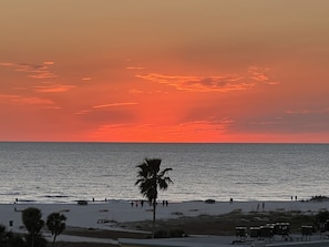 Guests can enjoy a serene beach experience with palm trees and umbrellas.