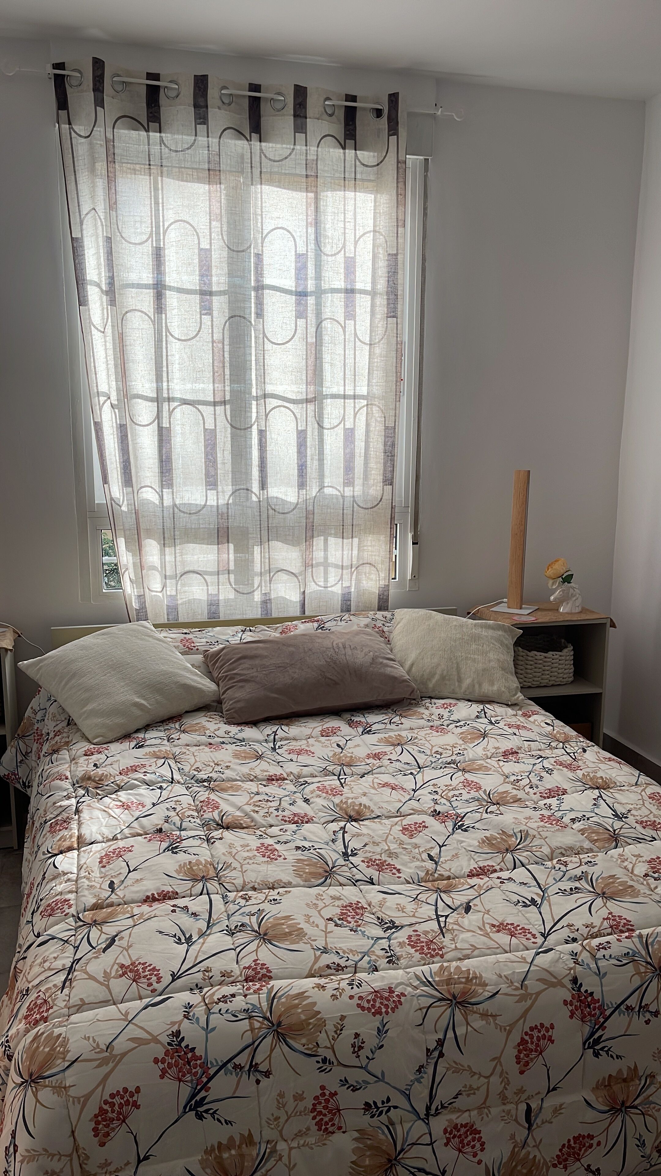 Photo - Comfortable Carolina en Alicante