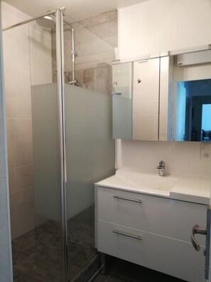 Shower, hair dryer, towels, toilet paper