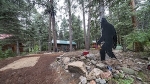 A rustic cabin with a metal roof, surrounded by dense forest. - Rustic Cozy Cabin at the base of Greenhorn Mountain. (Rye)