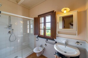 Shower, hair dryer, bidet, towels