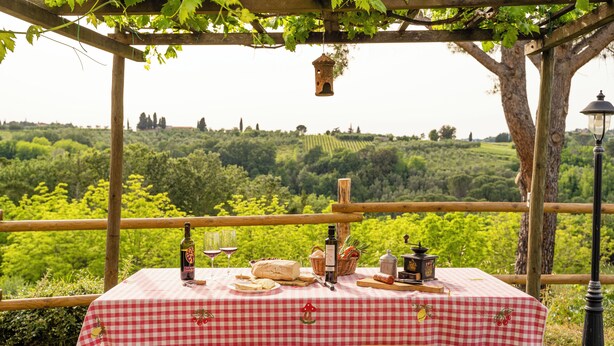 Taula de picnic preparada amb un llençol de taula escacolat, ampolles, vasos i aliments, amb vista a una vinya exuberant.
