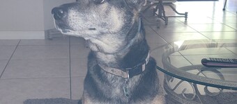 Shared space at the Oasis. A value like no other.