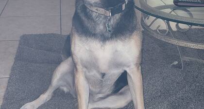 Shared space at the Oasis. A value like no other.