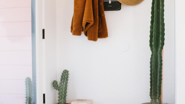 Een kamer met een witte deur, een bruine handdoek aan een haak, een strooien hoed en verschillende kamerplanten als cactussen.